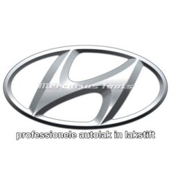 Autolak Hyundai 1k in lakstift gemengd Mercurius Tools