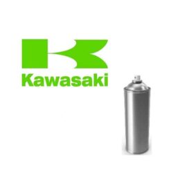 Kawasaki Motorfiets lak in spuitbus